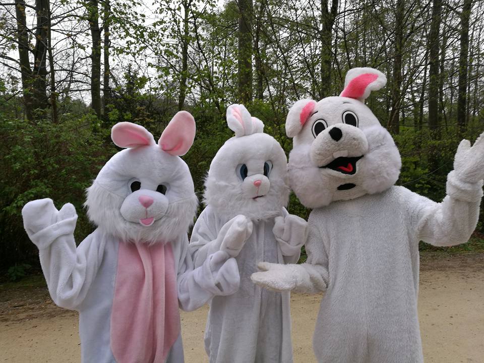Lapins de Pâques pour chasse aux oeufs