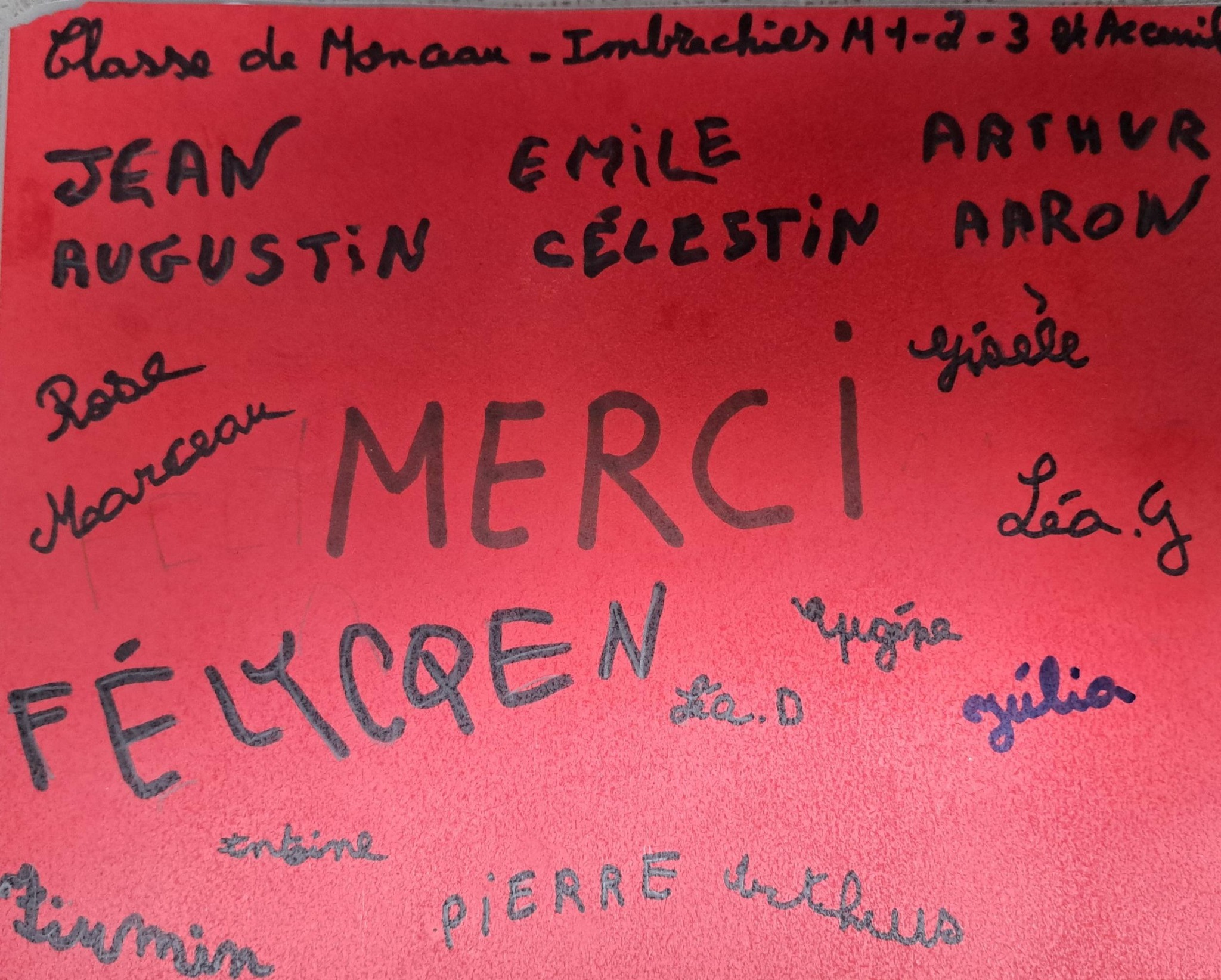 Stage cirque en milieu scolaire