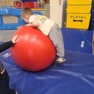 Lire la suite à propos de l’article Découverte du cirque en école maternelle